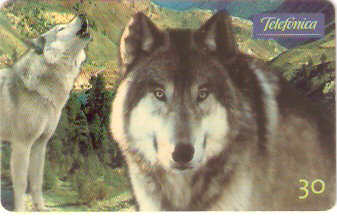 SP-0528 - Lobo
