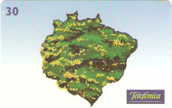 SP-0586 - Pau-Brasil - 3