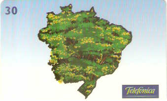 SP-0587M - Pau-Brasil - 4