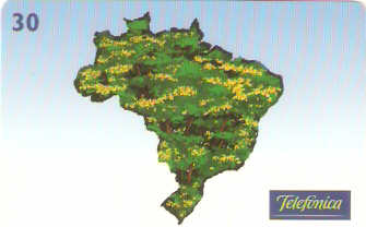 SP-0588M - Pau-Brasil - 5