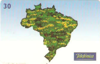 SP-0588 - Pau-Brasil - 5