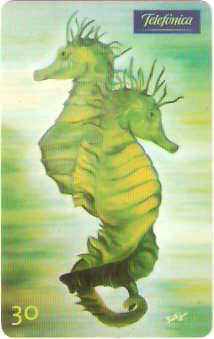 SP-0613 - Cavalos Marinho