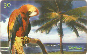 SP-0623 - Arara