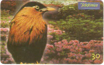 SP-0624 - Martim dos Pagodes