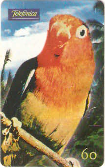 SP-0626 - Papagaio