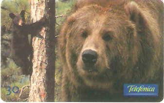 SP-0630 - Urso