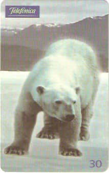 SP-0632 - Urso Polar