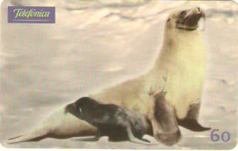 SP-0633 - Leão Marinho