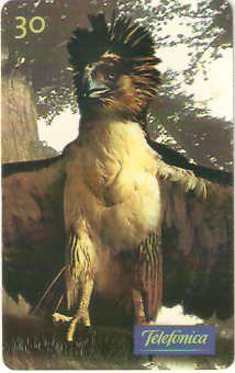 SP-0636 - Harpia