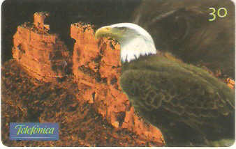 SP-0637 - Águia