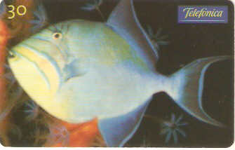 SP-0639 - Balista