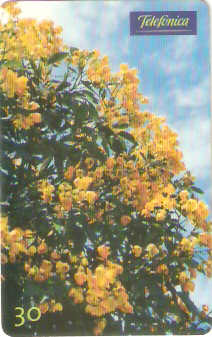SP-0664 - Canafístula