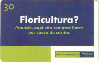 SP-0679 - Floricultura ?