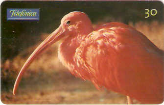 SP-0707 - Animais Silvestres - 03/26