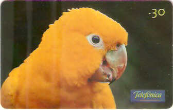 SP-0708 - Animais Silvestres - 04/26