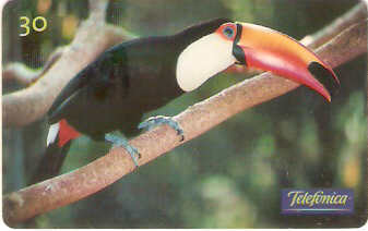 SP-0710 - Animais Silvestres - 06/26