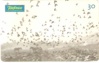 SP-0834 - Instituto Ethos - 6/6