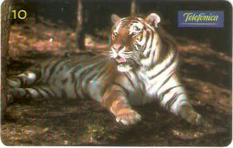 SP-0866M - Tigre - Barana