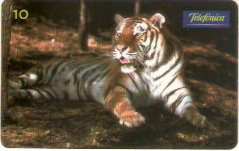 SP-0866 - Tigre - Barana
