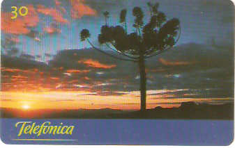 SP-1124 - Cyber Café - 2