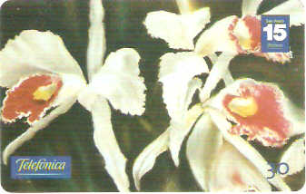 SP-1188 - Primavera - 01/10