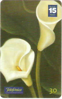SP-1189 - Primavera - 02/10