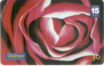 SP-1193 - Primavera - 06/10