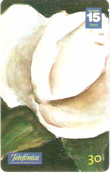 SP-1197 - Primavera - 10/10