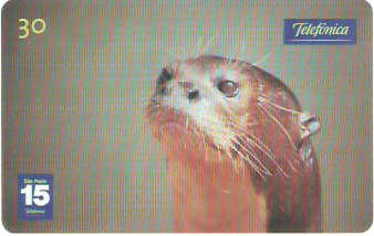 SP-1199 - Animais Silvestres - 09/26