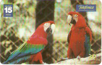 SP-1200 - Animais Silvestres - 10/26