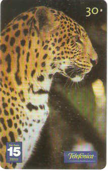 SP-1201 - Animais Silvestres - 11/26