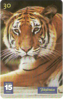 SP-1202 - Animais Silvestres - 12/26