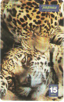 SP-1203 - Animais Silvestres - 13/26