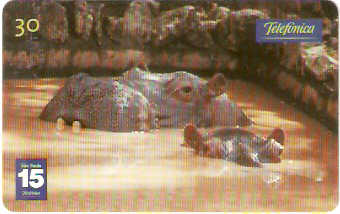 SP-1204 - Animais Silvestres - 14/26