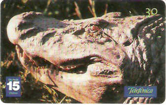 SP-1205 - Animais Silvestres - 15/26