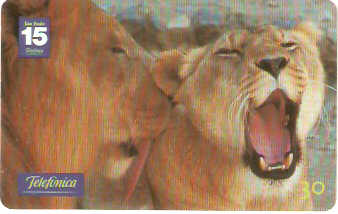 SP-1207 - Animais Silvestres - 17/26