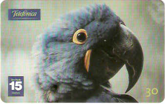 SP-1208 - Animais Silvestres - 18/26