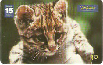 SP-1209 - Animais Silvestres - 19/26