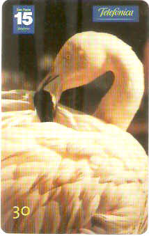 SP-1210 - Animais Silvestres - 20/26