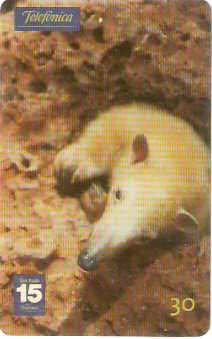 SP-1211 - Animais Silvestres - 21/26