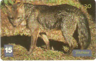 SP-1213 - Animais Silvestres - 23/26