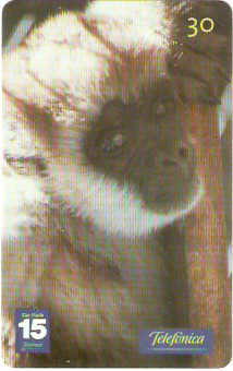 SP-1347 - Animais Silvestres - 24/26