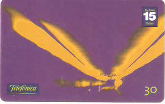 SP-1359 - Radiografias - 10/10