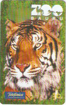 SP-1399 - Zoo Store