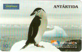 SP-1451M - Antártida - 23/50