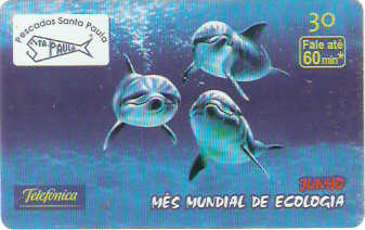 SP-1922 - Pescados Sta. Paula