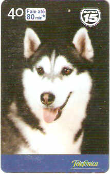 SP-1949 - Dia do Cão - 01/10