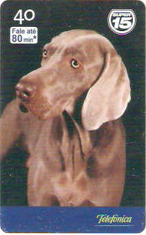 SP-1951 - Dia do Cão - 03/10