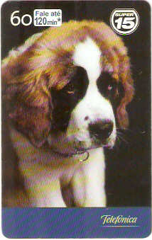 SP-1953 - Dia do Cão - 05/10