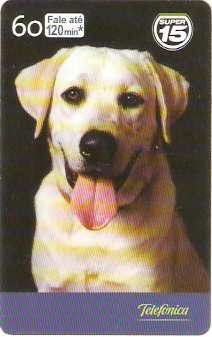 SP-1954 - Dia do Cão - 06/10